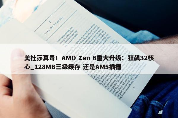 美杜莎真毒！AMD Zen 6重大升级：狂飙32核心_128MB三级缓存 还是AM5插槽