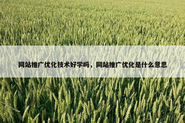 网站推广优化技术好学吗，网站推广优化是什么意思