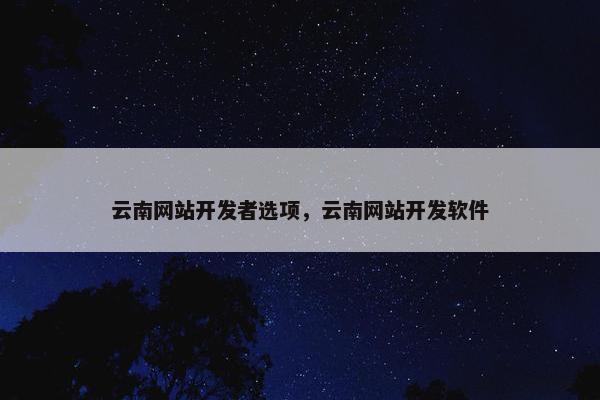 云南网站开发者选项，云南网站开发软件