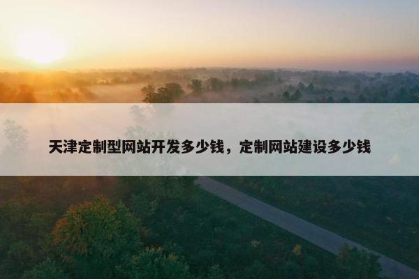 天津定制型网站开发多少钱，定制网站建设多少钱