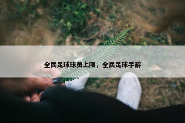 全民足球球员上限，全民足球手游