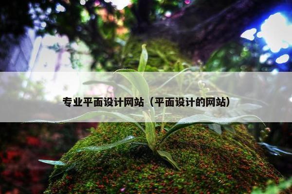 专业平面设计网站（平面设计的网站）