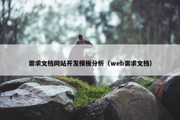 需求文档网站开发模板分析（web需求文档）