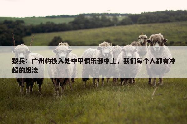 黎兵：广州豹投入处中甲俱乐部中上，我们每个人都有冲超的想法