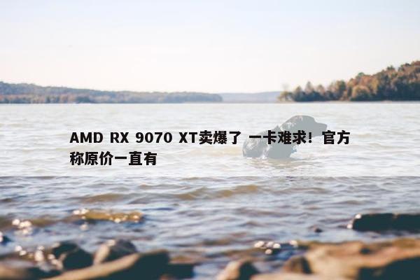 AMD RX 9070 XT卖爆了 一卡难求！官方称原价一直有