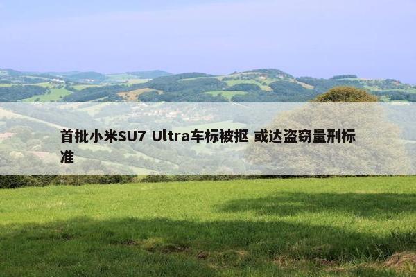 首批小米SU7 Ultra车标被抠 或达盗窃量刑标准