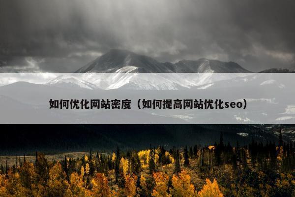 如何优化网站密度（如何提高网站优化seo）