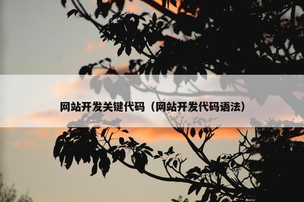 网站开发关键代码（网站开发代码语法）