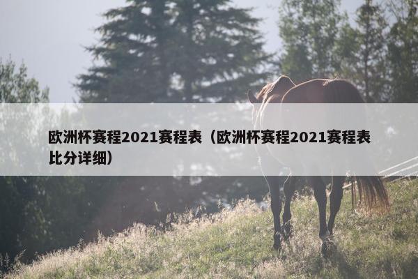 欧洲杯赛程2021赛程表（欧洲杯赛程2021赛程表比分详细）