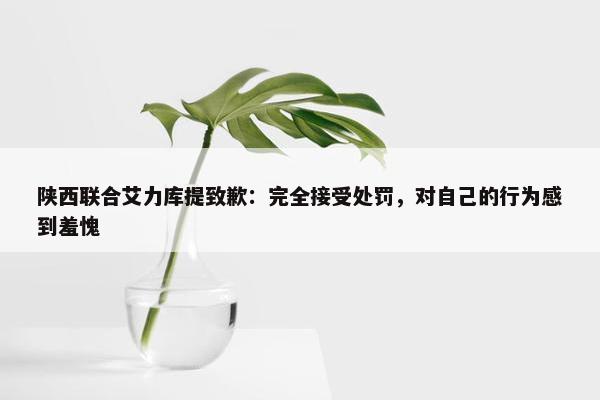 陕西联合艾力库提致歉：完全接受处罚，对自己的行为感到羞愧