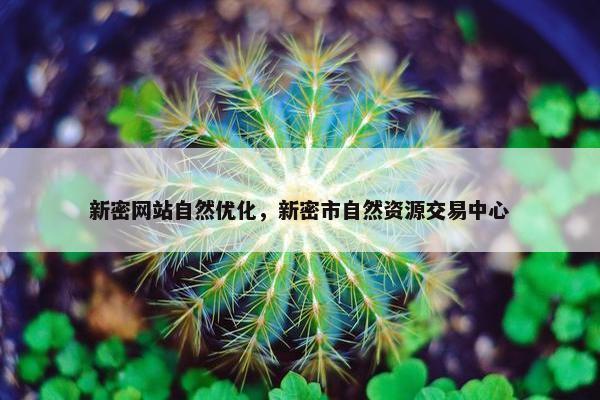 新密网站自然优化，新密市自然资源交易中心