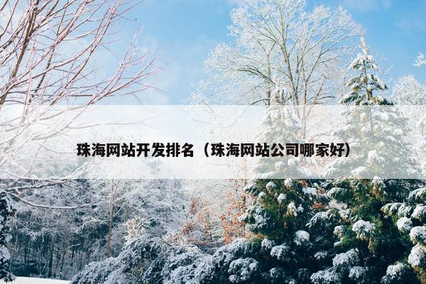 珠海网站开发排名（珠海网站公司哪家好）