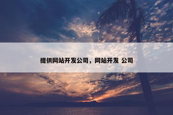 提供网站开发公司，网站开发 公司