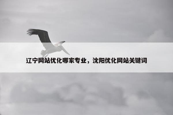 辽宁网站优化哪家专业，沈阳优化网站关键词