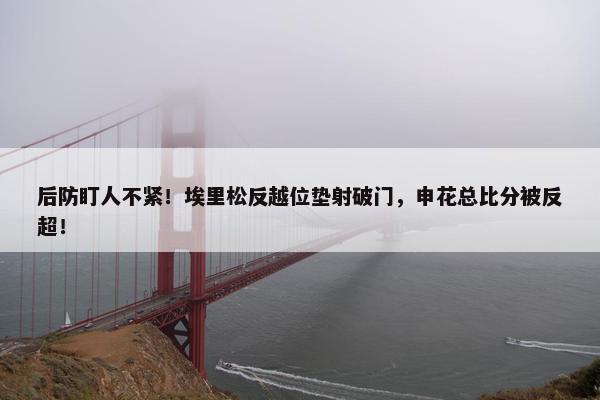 后防盯人不紧！埃里松反越位垫射破门，申花总比分被反超！