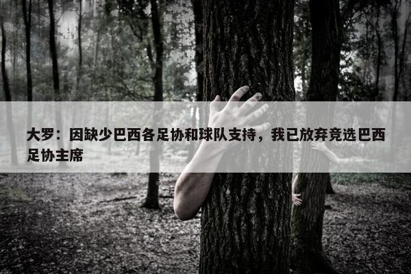 大罗：因缺少巴西各足协和球队支持，我已放弃竞选巴西足协主席