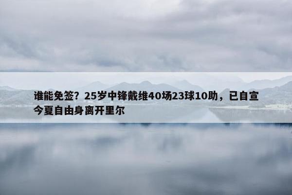 谁能免签？25岁中锋戴维40场23球10助，已自宣今夏自由身离开里尔