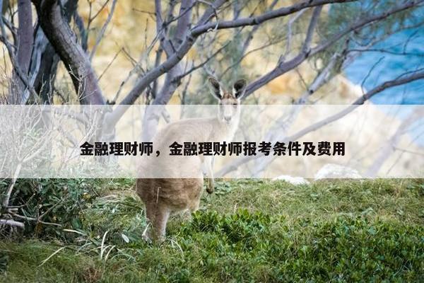 金融理财师，金融理财师报考条件及费用