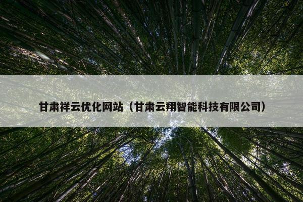 甘肃祥云优化网站（甘肃云翔智能科技有限公司）