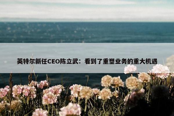 英特尔新任CEO陈立武：看到了重塑业务的重大机遇