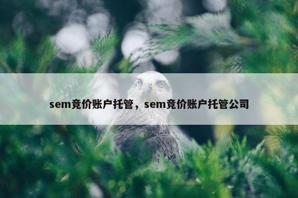 sem竞价账户托管，sem竞价账户托管公司