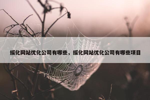 绥化网站优化公司有哪些，绥化网站优化公司有哪些项目