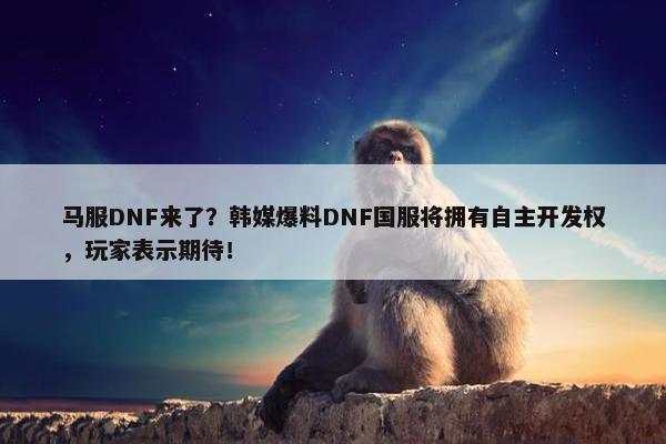 马服DNF来了？韩媒爆料DNF国服将拥有自主开发权，玩家表示期待！