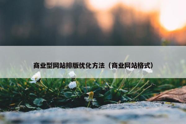 商业型网站排版优化方法（商业网站格式）