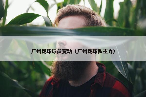 广州足球球员变动（广州足球队主力）