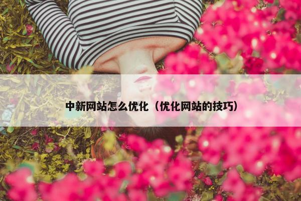 中新网站怎么优化（优化网站的技巧）