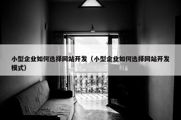 小型企业如何选择网站开发（小型企业如何选择网站开发模式）