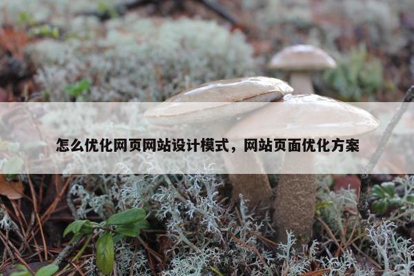 怎么优化网页网站设计模式，网站页面优化方案