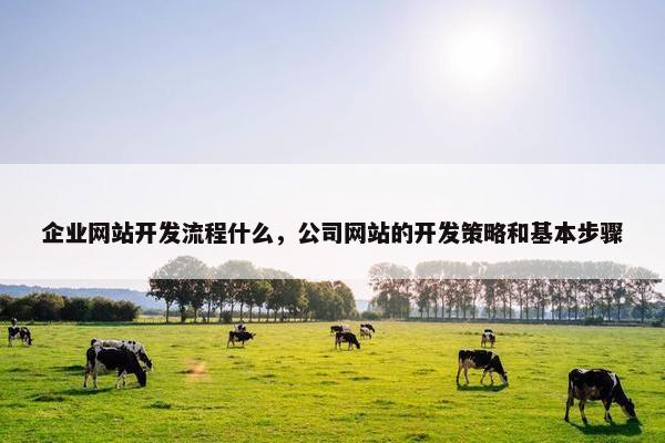 企业网站开发流程什么，公司网站的开发策略和基本步骤