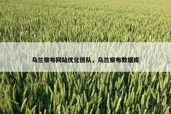 乌兰察布网站优化团队，乌兰察布数据库