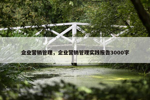 企业营销管理，企业营销管理实践报告3000字