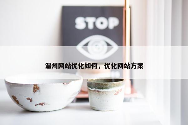 温州网站优化如何，优化网站方案