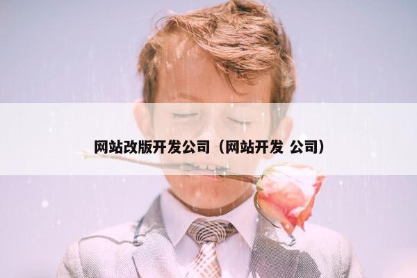 网站改版开发公司（网站开发 公司）