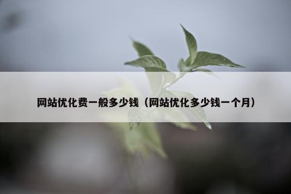 网站优化费一般多少钱（网站优化多少钱一个月）