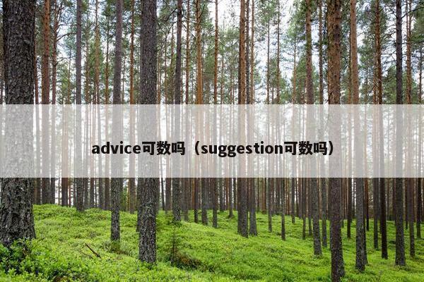 advice可数吗（suggestion可数吗）