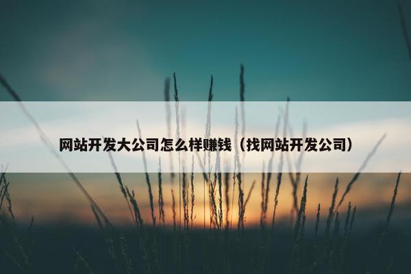 网站开发大公司怎么样赚钱（找网站开发公司）