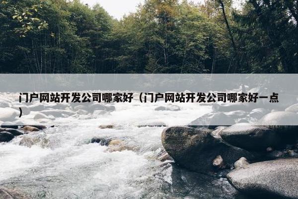 门户网站开发公司哪家好（门户网站开发公司哪家好一点）