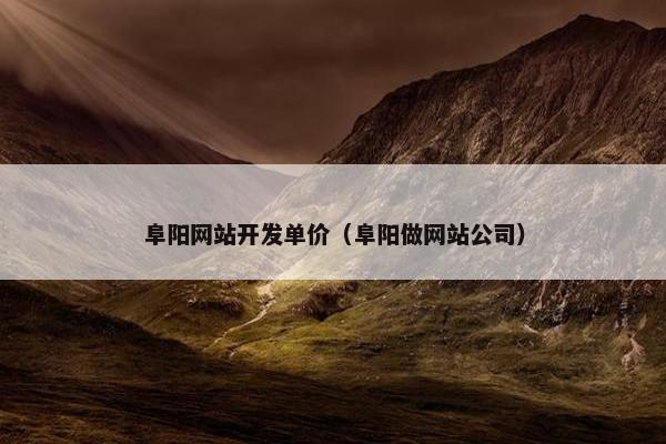 阜阳网站开发单价（阜阳做网站公司）