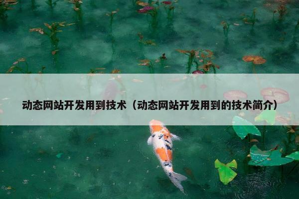 动态网站开发用到技术（动态网站开发用到的技术简介）