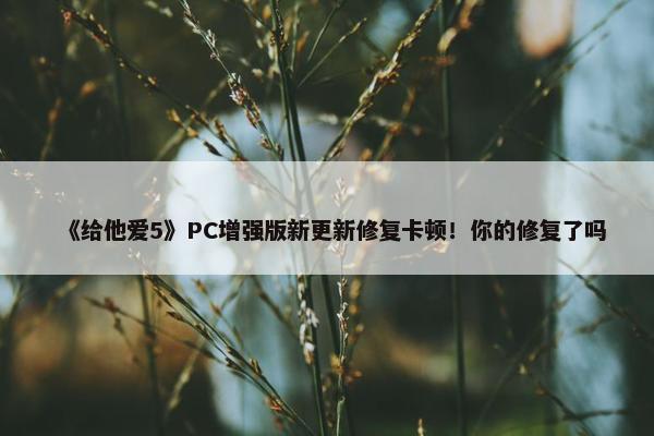 《给他爱5》PC增强版新更新修复卡顿！你的修复了吗