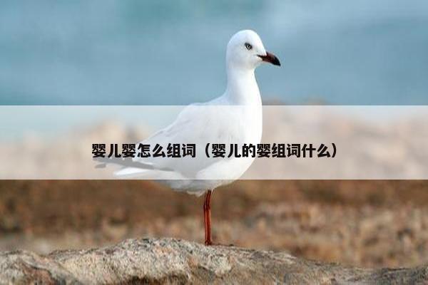 婴儿婴怎么组词（婴儿的婴组词什么）