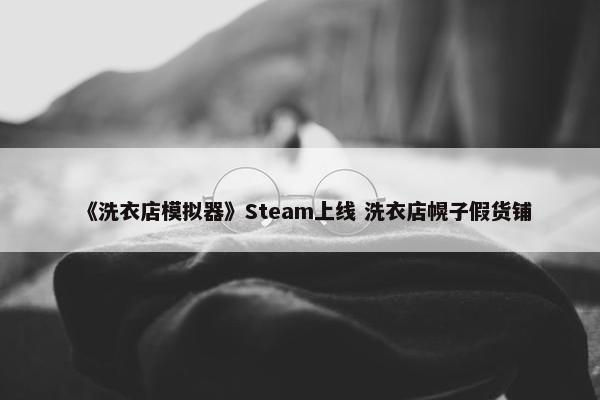 《洗衣店模拟器》Steam上线 洗衣店幌子假货铺