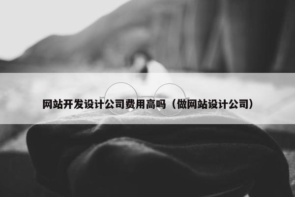 网站开发设计公司费用高吗（做网站设计公司）