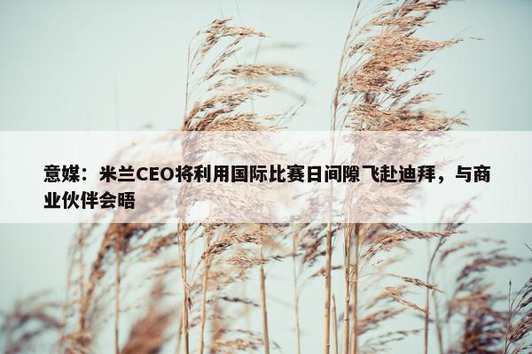 意媒：米兰CEO将利用国际比赛日间隙飞赴迪拜，与商业伙伴会晤