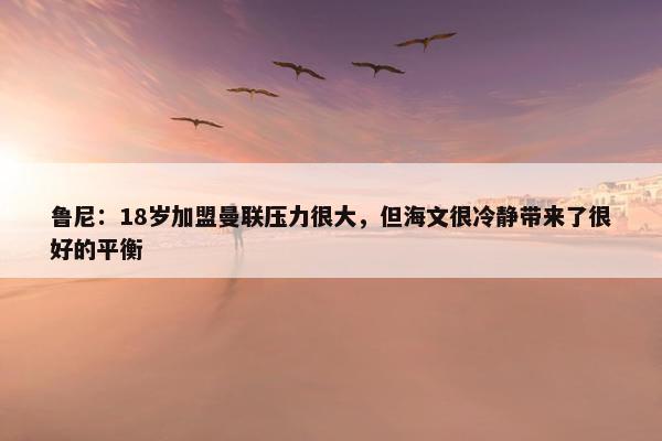 鲁尼：18岁加盟曼联压力很大，但海文很冷静带来了很好的平衡