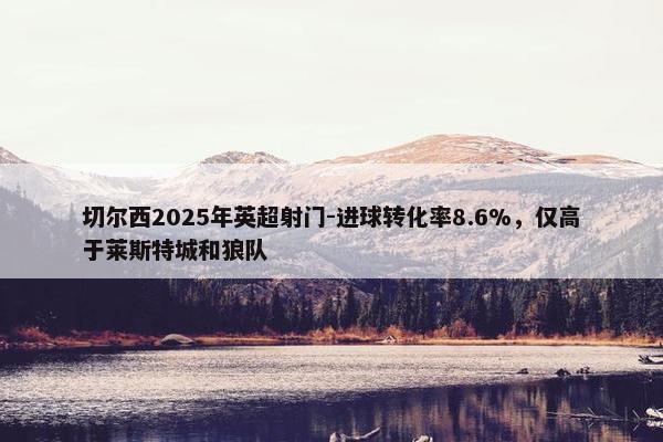 切尔西2025年英超射门-进球转化率8.6%，仅高于莱斯特城和狼队